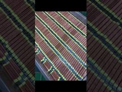 Lâmpada de cura UV de alta intensidade OEM, 20.000 horas de vida útil para impressora jato de tinta​